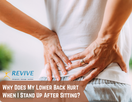 ReviveInjuryOR's tweet photo. Why Does My Lower Back Hurt When I Stand Up After Sitting?
https://t.co/ZYwIxqjNdH #Low #Back #Hurt #Pain #Sitting #PainRelief https://t.co/24IwrXUQH2