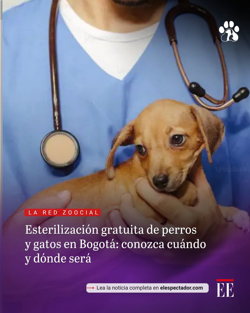 elespectador's tweet photo. La actividad está dirigida a familias de la localidad de Los Mártires y tendrá requisitos que los cuidadores deberán cumplir para acceder al servicio.
👉🏻 https://t.co/rbPC6OLf3o https://t.co/kgdYicUzbY
