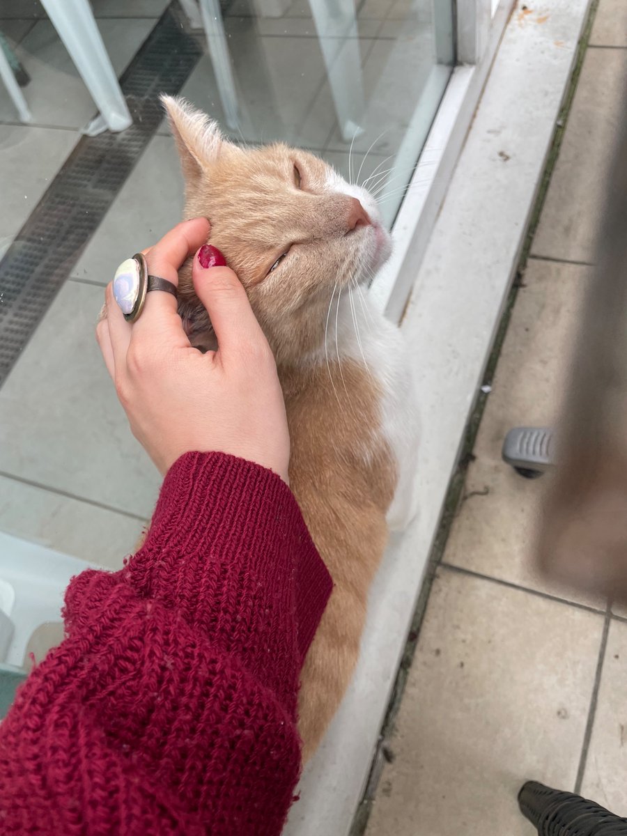 nisagoktp's tweet photo. Ve bugün ders aldığım amfi okulda girdiğim en eski amfilerden biriydi, sıraları tahtaları her şeyi tarih kokan bana gerçekten okulumu hissettiren bi yer, o kadar güzeldi ki… https://t.co/QHYro14hjW