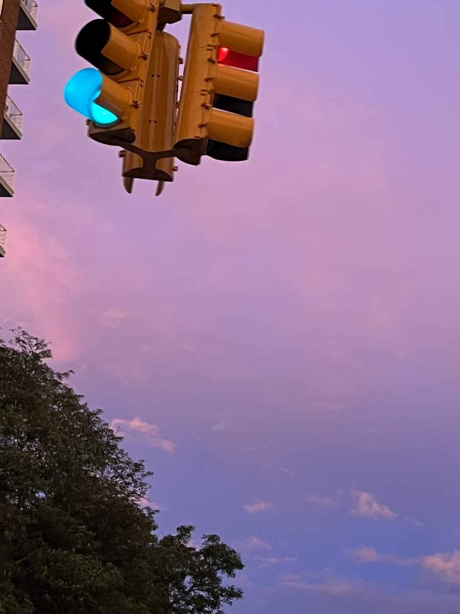 maxabelson's tweet photo. Hard to describe the eeriness of the Brooklyn evening before the storm. The sky is the color of sherbet that’s been left on the counter too long. The birds seem startled! The air is electric. Not so much let’s say Lynch as the fake New York backdrop in Hitchcock’s Rope https://t.co/do29yixtkg