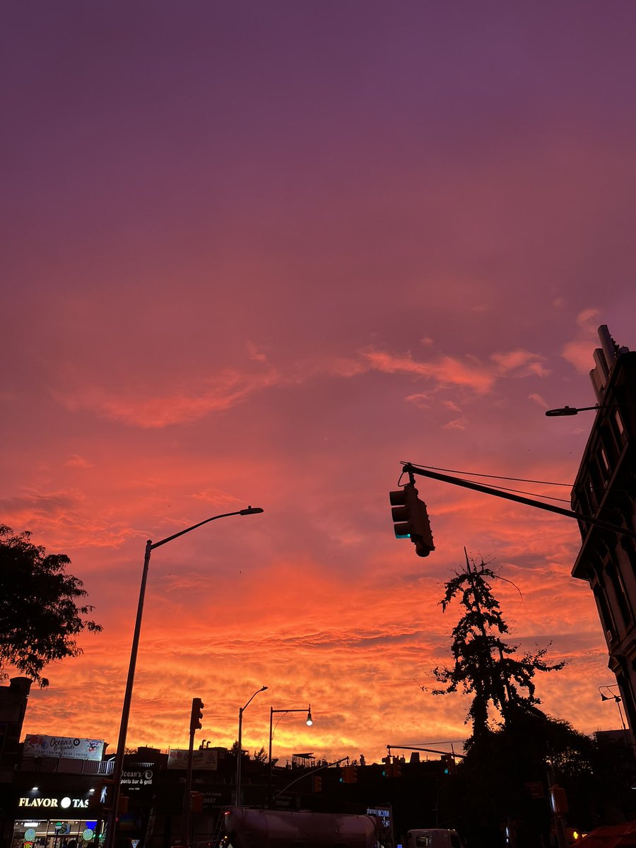 maxabelson's tweet photo. Hard to describe the eeriness of the Brooklyn evening before the storm. The sky is the color of sherbet that’s been left on the counter too long. The birds seem startled! The air is electric. Not so much let’s say Lynch as the fake New York backdrop in Hitchcock’s Rope https://t.co/do29yixtkg