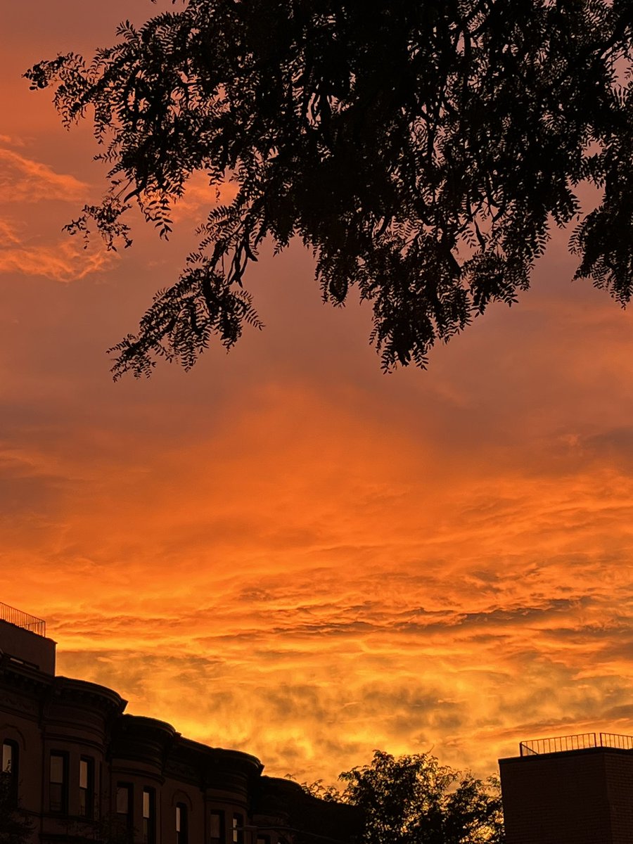 maxabelson's tweet photo. Hard to describe the eeriness of the Brooklyn evening before the storm. The sky is the color of sherbet that’s been left on the counter too long. The birds seem startled! The air is electric. Not so much let’s say Lynch as the fake New York backdrop in Hitchcock’s Rope https://t.co/do29yixtkg