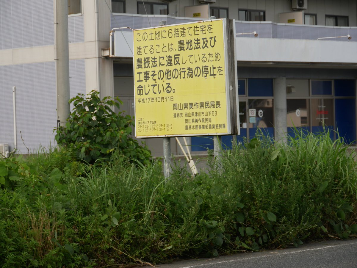 okayamania1 tweet picture