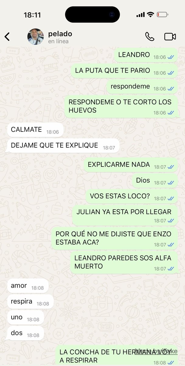 ibuprofenoz's tweet photo. 23- paulo va a matar a lean https://t.co/Wud0xFhnID
