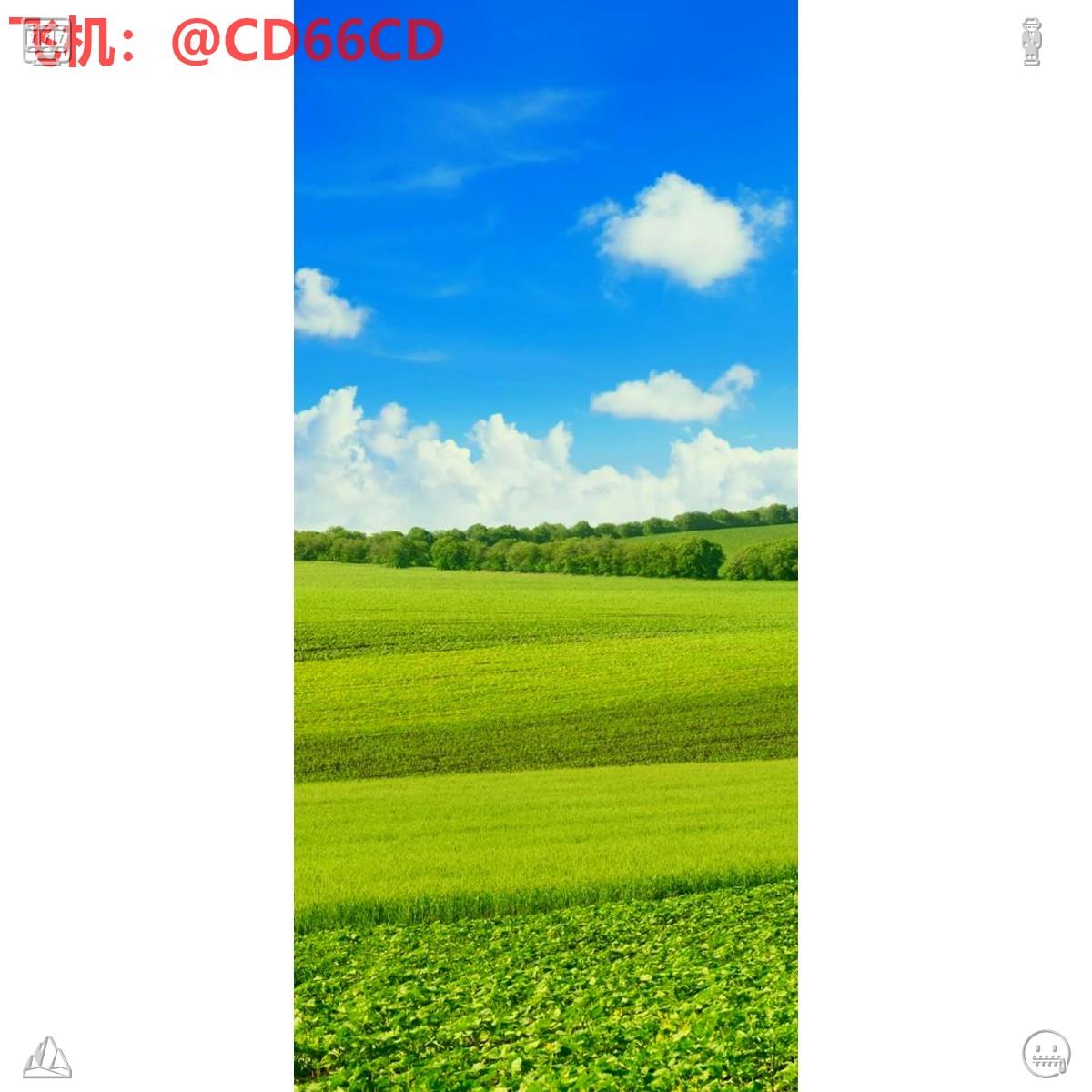 DrippMarion's tweet photo. 2026-09-26 07:04:57
🙈【黑猫】查档👉 @oliviakalish1
🍡微信同屏  🍤查淘宝记录
🥍开盒  🌰删负面
🧭查开房记录和同住人  🦩人肉找人
努力治愈迷茫，坚持成就梦想，往后余生，不抱怨不放弃，活成理想模样。 https://t.co/gqe4lrNaG6