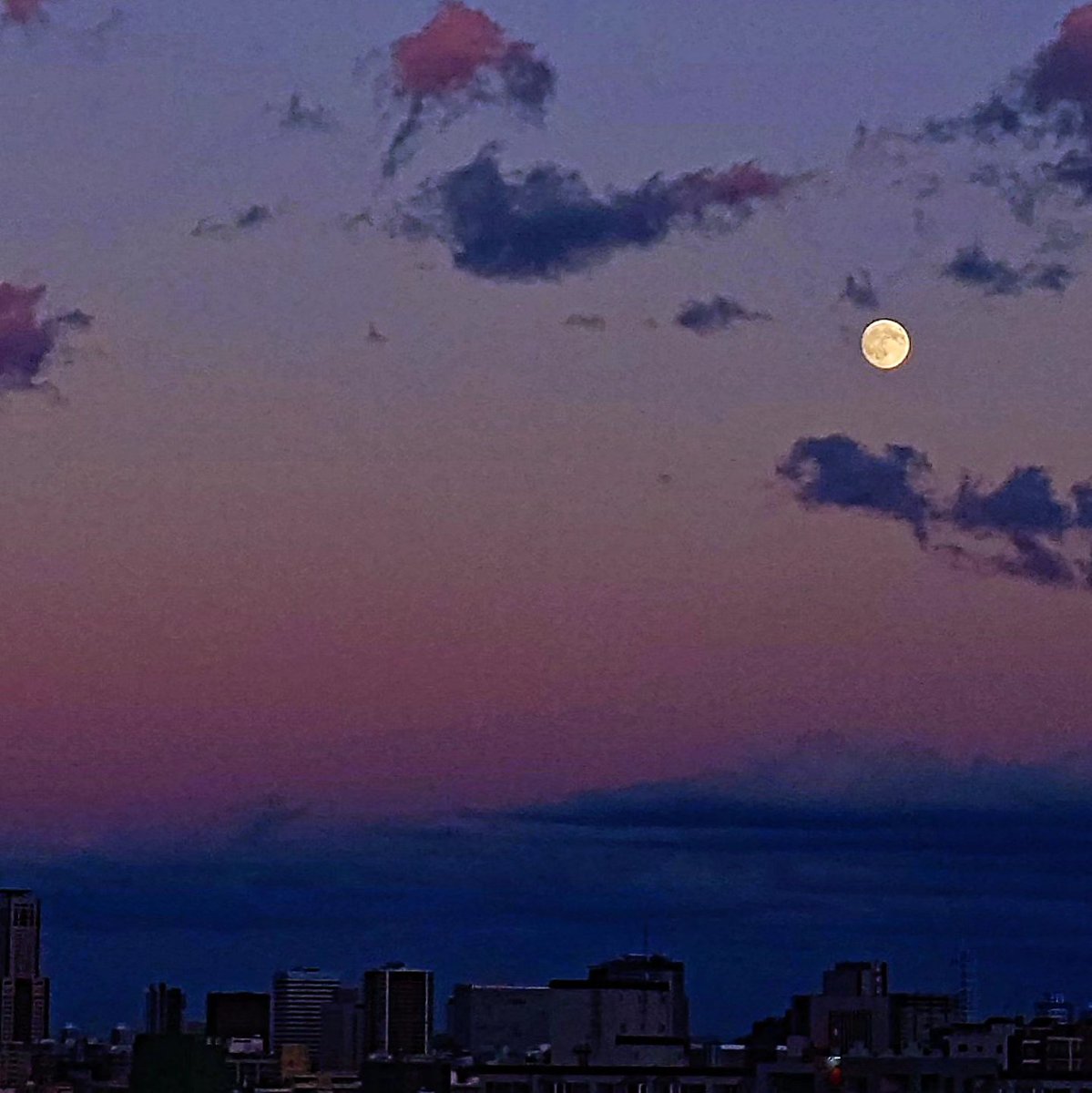 MORIHANA_2nd's tweet photo. 暮れゆく空に､中秋の月｡別名､芋名月とも呼ばれ､旧暦9月15日の栗名月も観ると縁起が良い…とか｡さて､来月も首尾よく美しい月に出会えるでしょうか?

長い連休から､あっという間に週末｡楽しい休日をお過ごしください｡

#山猫亭 #日本酒な夕餉 #月見の宴 #おはようございます https://t.co/7qRh7zg4Pq