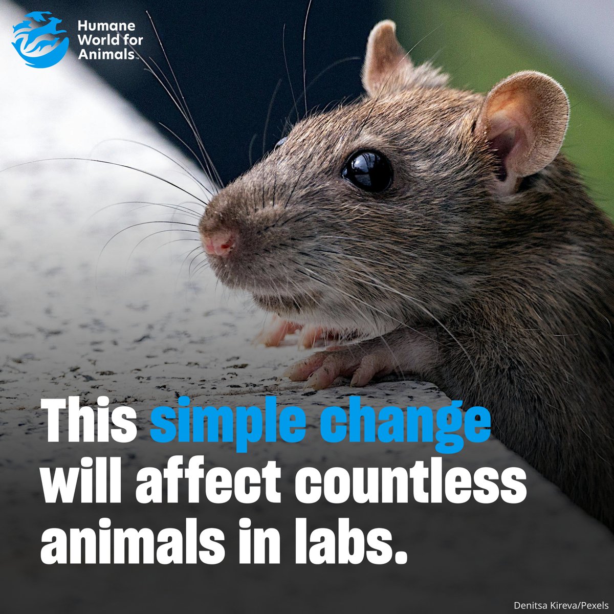 humaneworldeat tweet picture