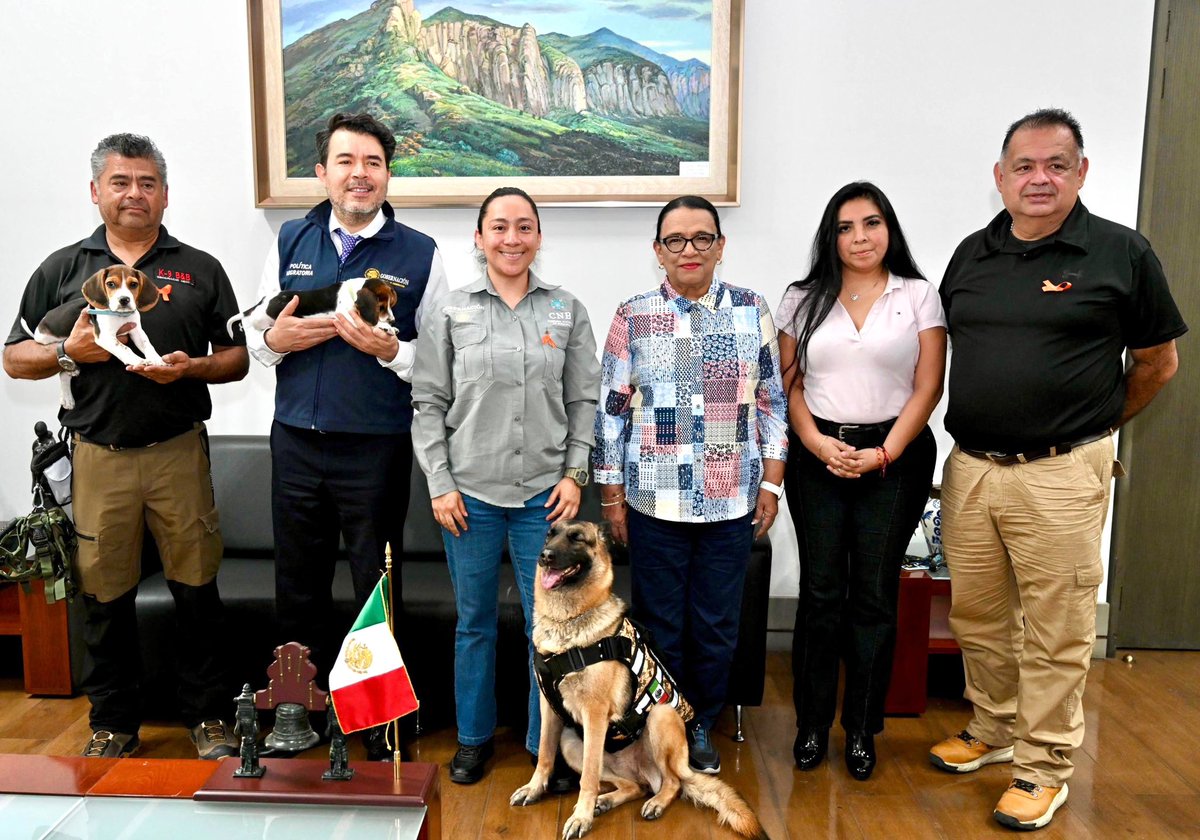 rosaicela_'s tweet photo. Esta tarde, junto con @arturomedinap y la titular de @Busqueda_MX, conocimos la formación de #Molly, integrante de la Unidad Canina K9, que está preparada para realizar búsquedas en territorio y campos subacuáticos. También nos visitaron #Simón y #Dexter, quienes son entrenados para sumarse próximamente a estas labores y fortalecer las capacidades al servicio de un mismo propósito: buscar y encontrar. 🇲🇽🐕🐾 @Claudiashein
