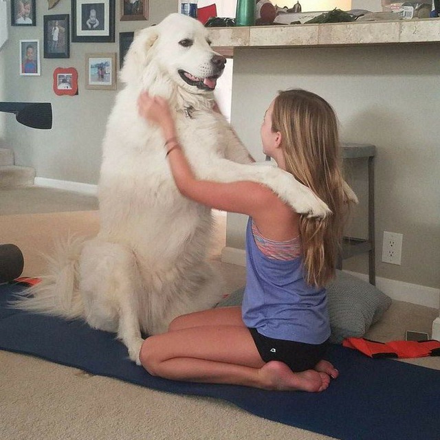 WajarrZoO's tweet photo. My pup🐕📷 makes every ordinary moment feel extraordinary 📷📷 Join us for more fun and unforgettable memories. 
 
#dogs 
#AUSummits2026 
#USA    

CHUDAI ! 📷📷Check my Bio for Link and have a great day 

  https://t.co/DKXpInAHfR

  https://t.co/DKXpInAHfR https://t.co/t7pwI0fZxi