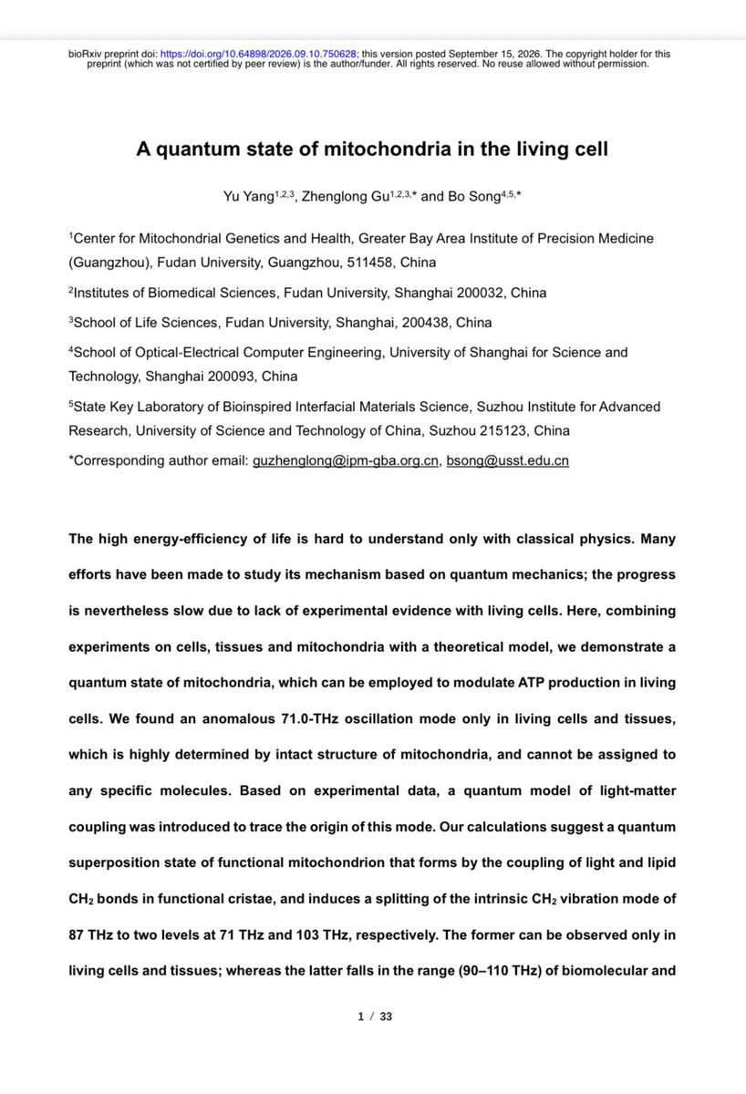 BrianRoemmele's tweet photo. WOW LIFE AS A QUANTUM PROCESS. NEW PAPER.

A QUIET FREQUENCY THAT COULD CHANGE HOW WE SEE LIFE

Something extraordinary has been heard inside living cells. Deep within mitochondria—the tiny, folded engines that power every heartbeat, every thought, every movement—researchers have detected a vibration ringing at 71 trillion cycles per second. 

The signal appears only while those engines remain intact and alive. Break the architecture and the note falls silent.

That single peak, reported in a 2026 preprint by Yu Yang, Zhenglong Gu and Bo Song, is more than a spectroscopic curiosity. It is a invitation. It suggests that the most important organelles in biology may be doing something subtler and more elegant than classical chemistry alone can explain.

The team used infrared light to listen to living human cells, fresh tissues, and carefully isolated mitochondria. Again and again they found the same unexplained 71 THz feature. Their model is beautiful in its simplicity: light trapped among the cristae couples to the collective dance of lipid CH₂ bonds, creating a polariton—a hybrid state that is part light, part matter. The familiar 87 THz vibration splits. 

One of the new notes is the 71 THz signal we can now hear. The living mitochondrion, in this picture, is not just a factory. It is a resonator.

When the researchers gently shone light at that same frequency onto cultured cells, ATP production rose by about ten percent. A nearby control frequency did nothing. Frequency mattered. 

The cell’s energy currency responded as if someone had found a hidden dial.

This is still early science. The paper awaits peer review and independent confirmation. That is how good science works. Yet the possibility already feels generous. If mitochondria can host a light-matter quantum state that we can address from outside, then energy metabolism is no longer a closed chemical book. It becomes a system we might one day tune.

Imagine therapies that raise cellular energy without harsh drugs—soft, precise infrared light helping failing hearts, tired muscles, or aging neurons recover their spark. 

Imagine a deeper understanding of why life is so efficient, why warm, wet cells can still exploit quantum resources we once thought belonged only to laboratories at near-absolute zero. Imagine mitochondria not merely as batteries but as possible channels for both energy and information, quietly coordinating the business of being alive.

Quantum biology has waited years for a clear experimental foothold inside living animal cells. This 71 THz peak may be that foothold. Even if later work refines the interpretation, the observation itself is a gift: life is still capable of surprising us at the smallest scales.

The original research is available:
https://t.co/BGkS6frH0B

The universe did not have to make cells this interesting. It did anyway. We are only beginning to learn the frequencies they sing.