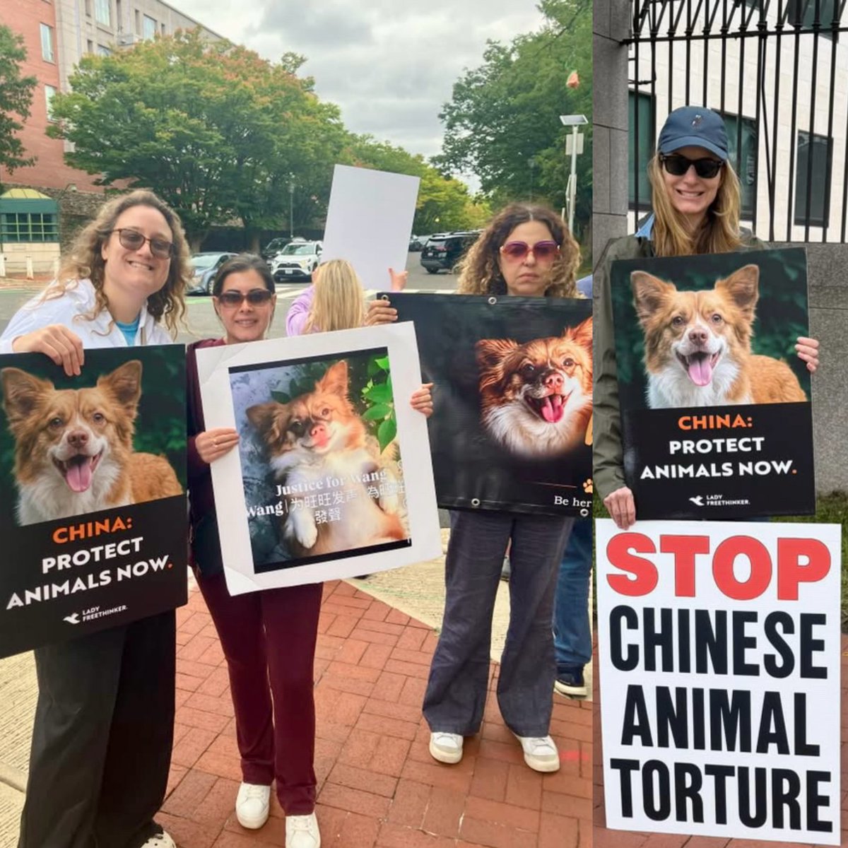 Aincident_watch's tweet photo. While Xi Jinping was at the White House on September 24, Wangwang’s name was being carried through the streets of Washington.

Animal-protection advocates gathered in Washington, D.C., with photographs of Wangwang, banners, signs, and a mobile billboard calling for stronger anti-cruelty protections in China.

For months, Wangwang’s story has traveled far beyond the place where he died. On September 24, it reached another very visible stage.

These are some moments from the demonstration.

Swipe through.