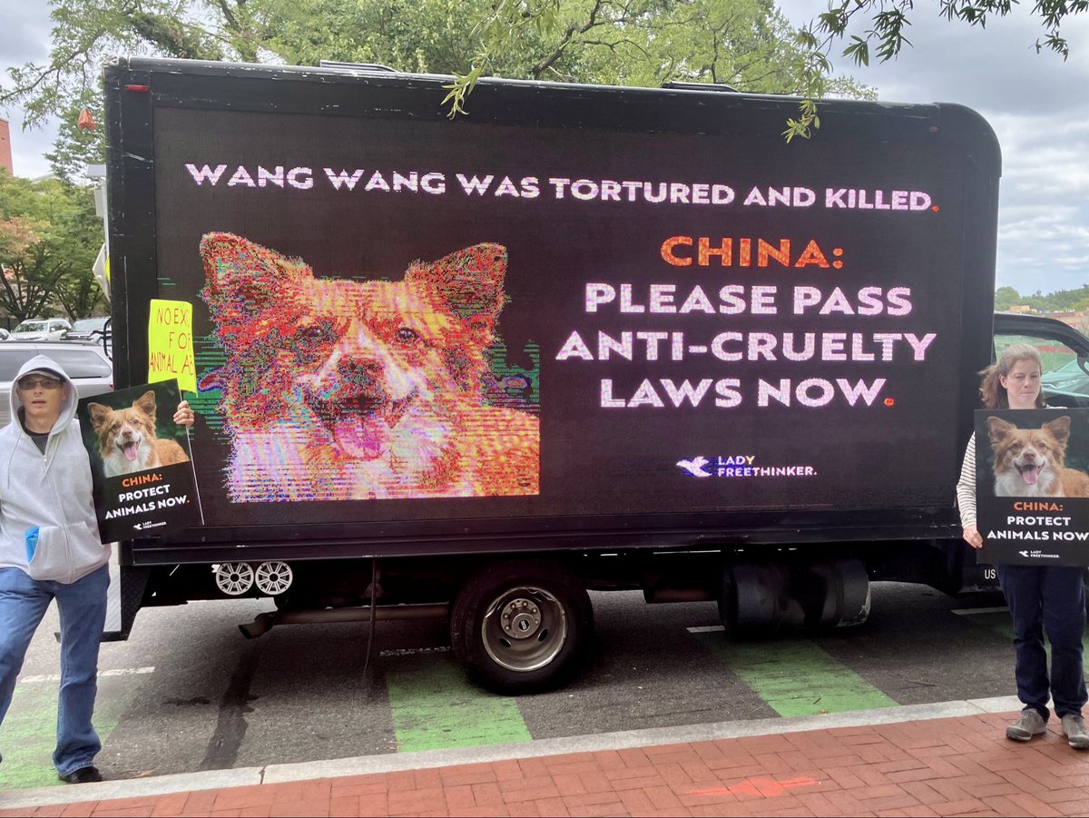 Aincident_watch's tweet photo. While Xi Jinping was at the White House on September 24, Wangwang’s name was being carried through the streets of Washington.

Animal-protection advocates gathered in Washington, D.C., with photographs of Wangwang, banners, signs, and a mobile billboard calling for stronger anti-cruelty protections in China.

For months, Wangwang’s story has traveled far beyond the place where he died. On September 24, it reached another very visible stage.

These are some moments from the demonstration.

Swipe through.