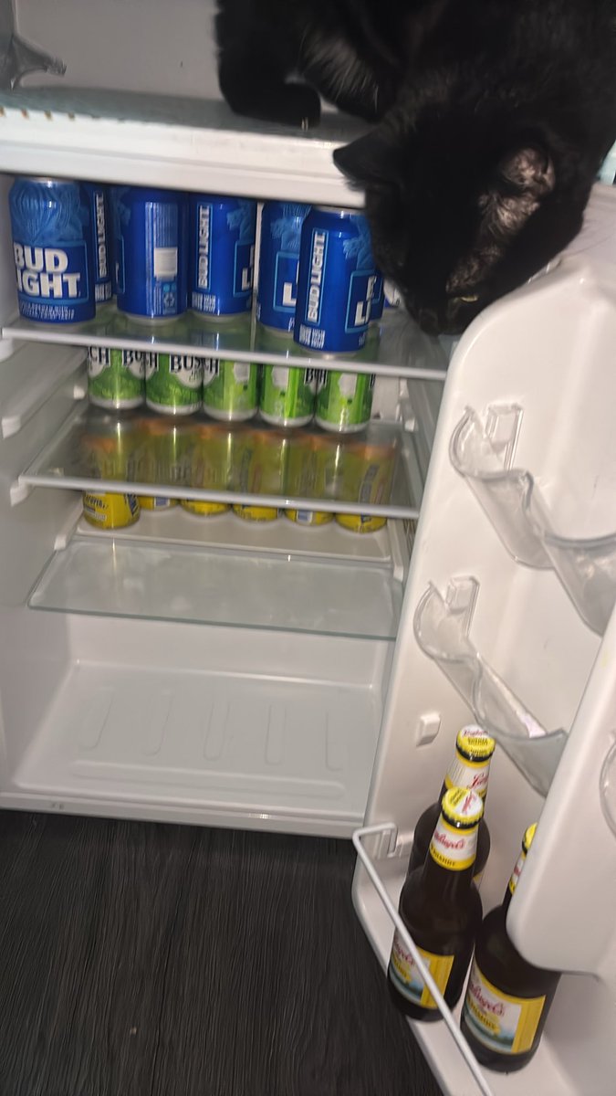 SuperBeerBoy's tweet photo. Challenge accepted https://t.co/cVIs9KNdVe