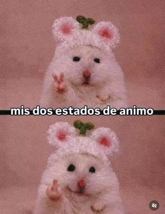 laloleira's tweet photo. https://t.co/rkTfjd6Bj6
