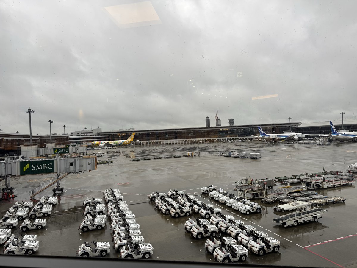 acidysakura's tweet photo. どんより曇り☁️✈️ https://t.co/sNwV4OetF7