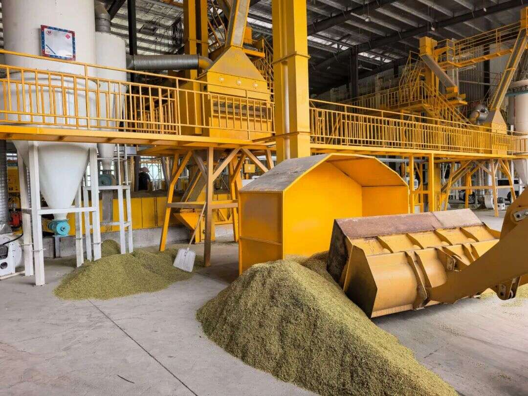 DarleenKur's tweet photo. Hoy vamos a secar y classificar las semillas de una forma excelente, 100 vehículos nos ayudan a hacerlo eficientemente! https://t.co/YCViMTA7EM