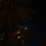 Photo by دانـه (@danahnas)
