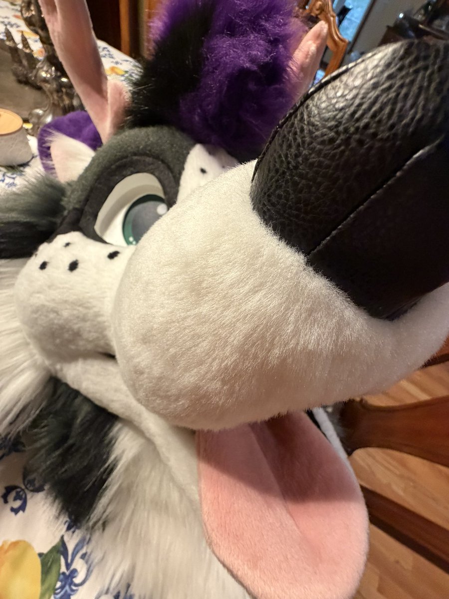 Giavenchi's tweet photo. Any advice from makers for shipping a fursuit from USA to UK? First time shipping overseas and im nervous. How should i bag it so they dont rip it open at customs? How should i categorize it for customs and insurance? So many questions https://t.co/WVTP1MIw65