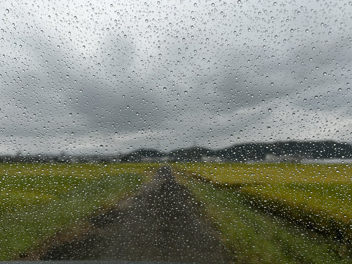 yochisa1127's tweet photo. フロントガラスに雨粒がお気に入り。 #イマソラ https://t.co/XJbmYFywf0
