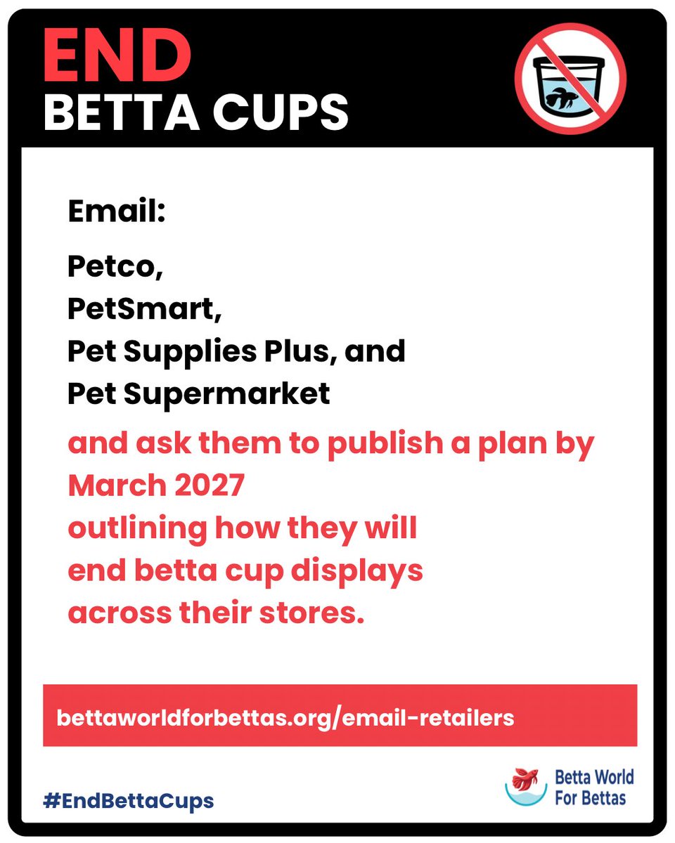 betta4bettas's tweet photo. Send an email to Petco, PetSmart, Pet Supplies Plus, and Pet Supermarket asking them to end betta cups.

https://t.co/FNtv7Xv5H4

#endbettacups #petco #petsmart #bettafish https://t.co/khCodsXOkb