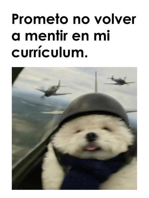 laloleira's tweet photo. https://t.co/aV0BTvIx9k