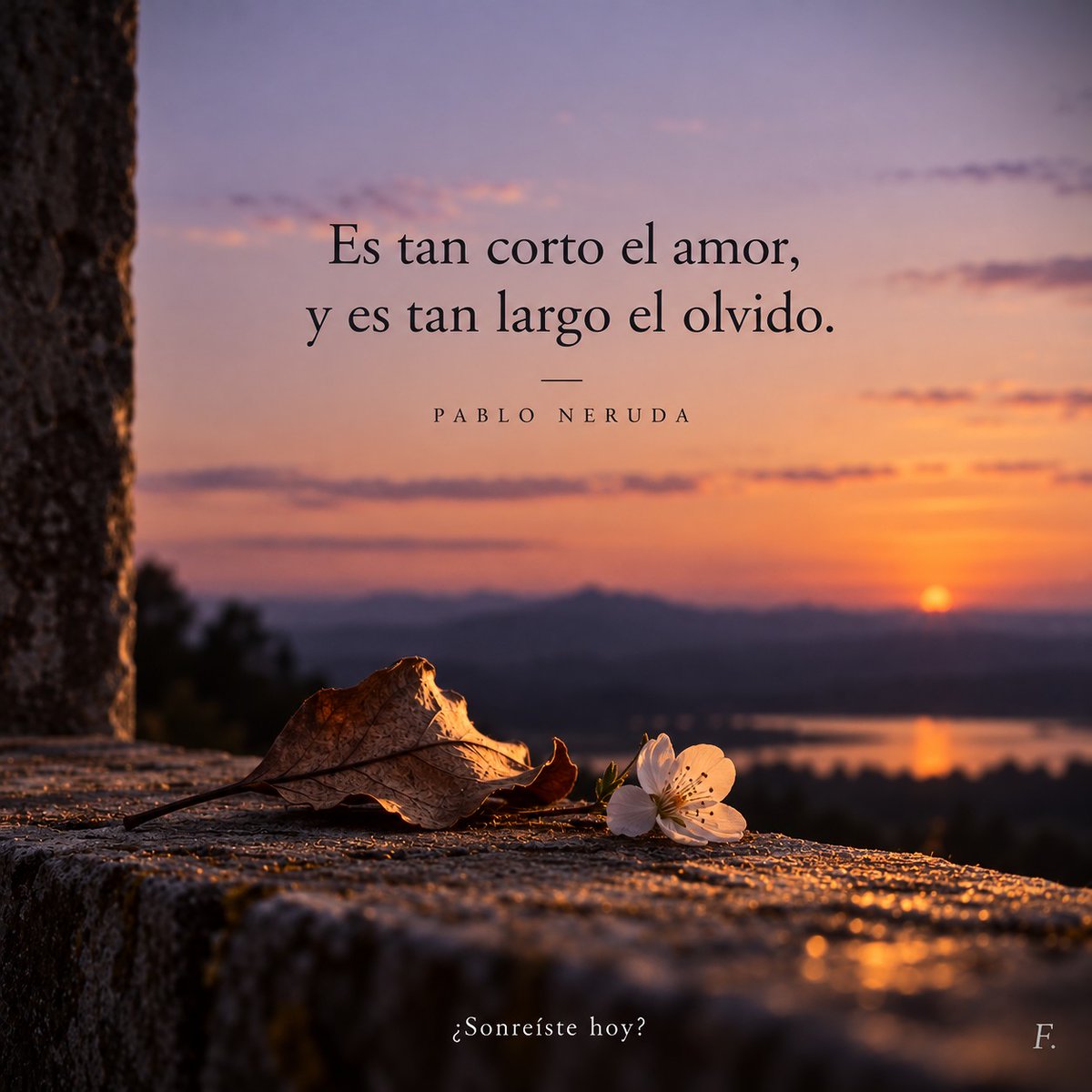 fabiodnqn's tweet photo. Buenas Noches¡ Hay ausencias que pesan y recuerdos que se quedan a vivir con nosotros. A veces recordar también es una forma de mantener vivo el amor. 🌅¿Un verso que nunca se te olvida? sonreíste hoy? ❤️
#PabloNeruda #FrasesDeNeruda #Poesia #PoemasDeAmor #Desamor #ReflexionDelDia #Pensamientos #YoTeCielo #FrasesQueInspiran