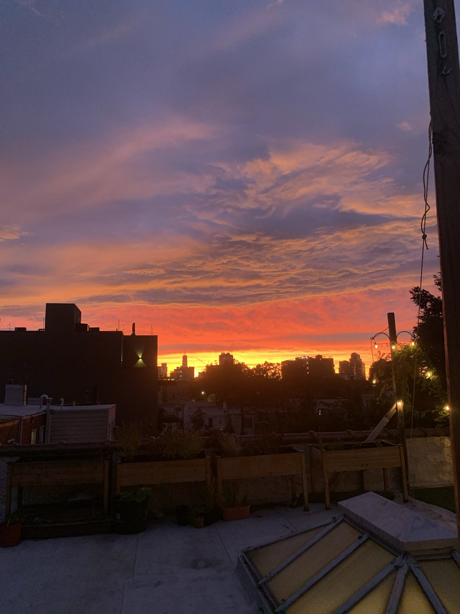 trillionjohns's tweet photo. fall in nyc https://t.co/gt77S7GmjC