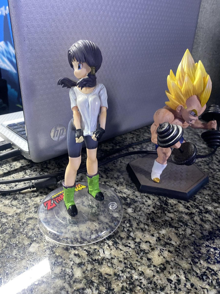 lauralalaal's tweet photo. nao sei se colocar action figure de dragon ball z na recepção da academia seja uma das melhores opções de decoração….acabou com meu treino https://t.co/7X8GUiSjlo