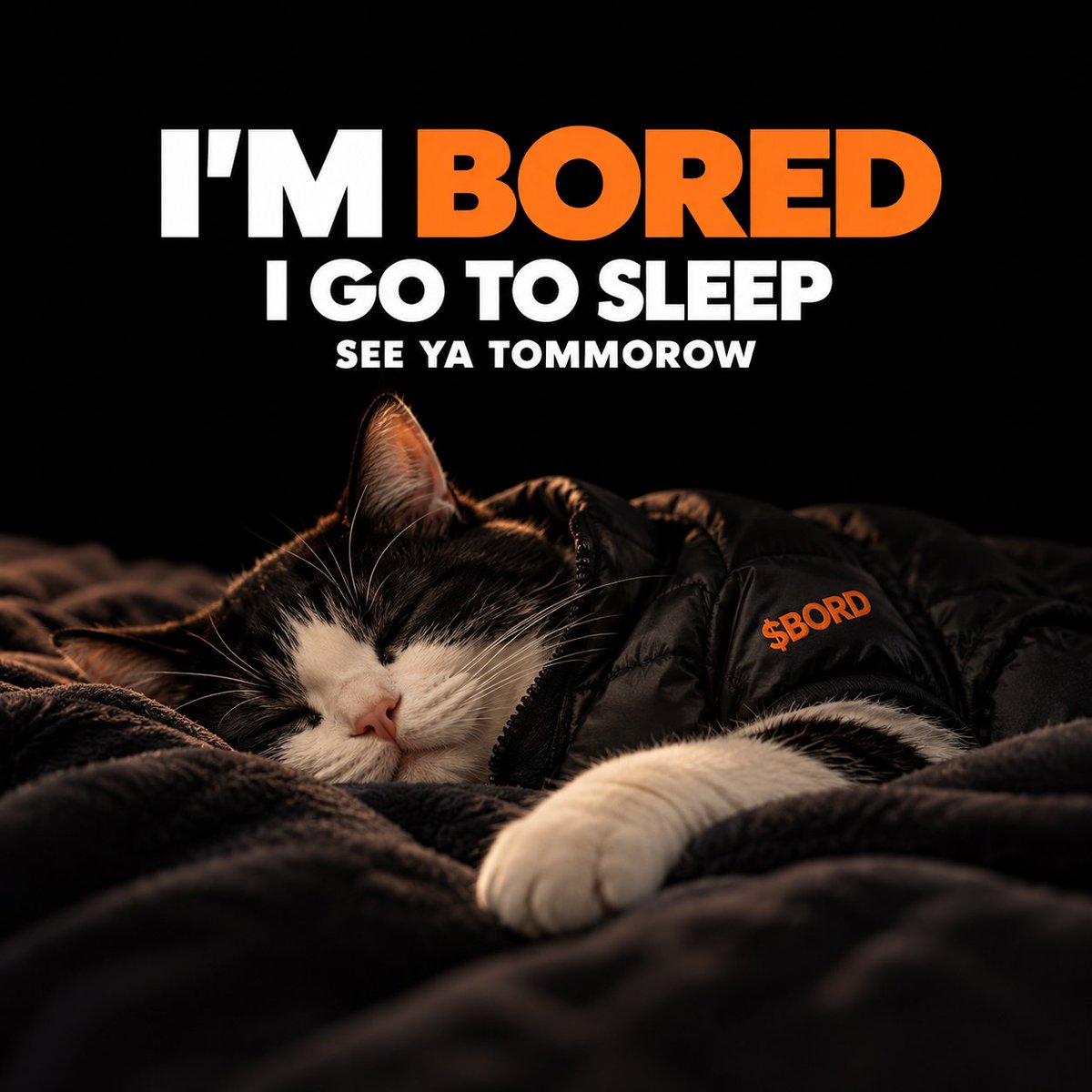 BORED_CATSOL's tweet photo. $BORD https://t.co/pg1qKGaUDA