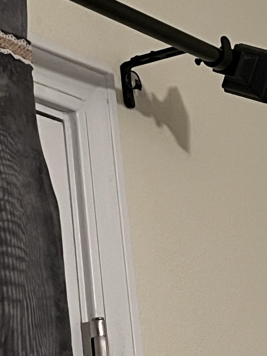 amindccommittee's tweet photo. I am kind of proud of my “girly” tack fix on the curtain hardware I did. Did not have a washer::: (clothes are still clean). I jest. Probably a temporary fix at best. https://t.co/5vLJfA4PKD