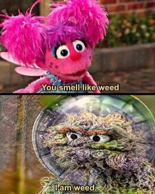 SJsMemes420's tweet photo. https://t.co/EIMarPSWWf