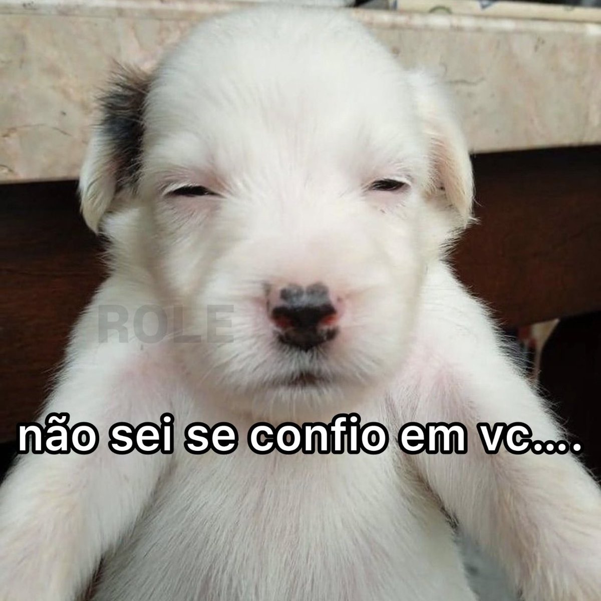 rolealeatorio's tweet photo. https://t.co/ujq37zMImH