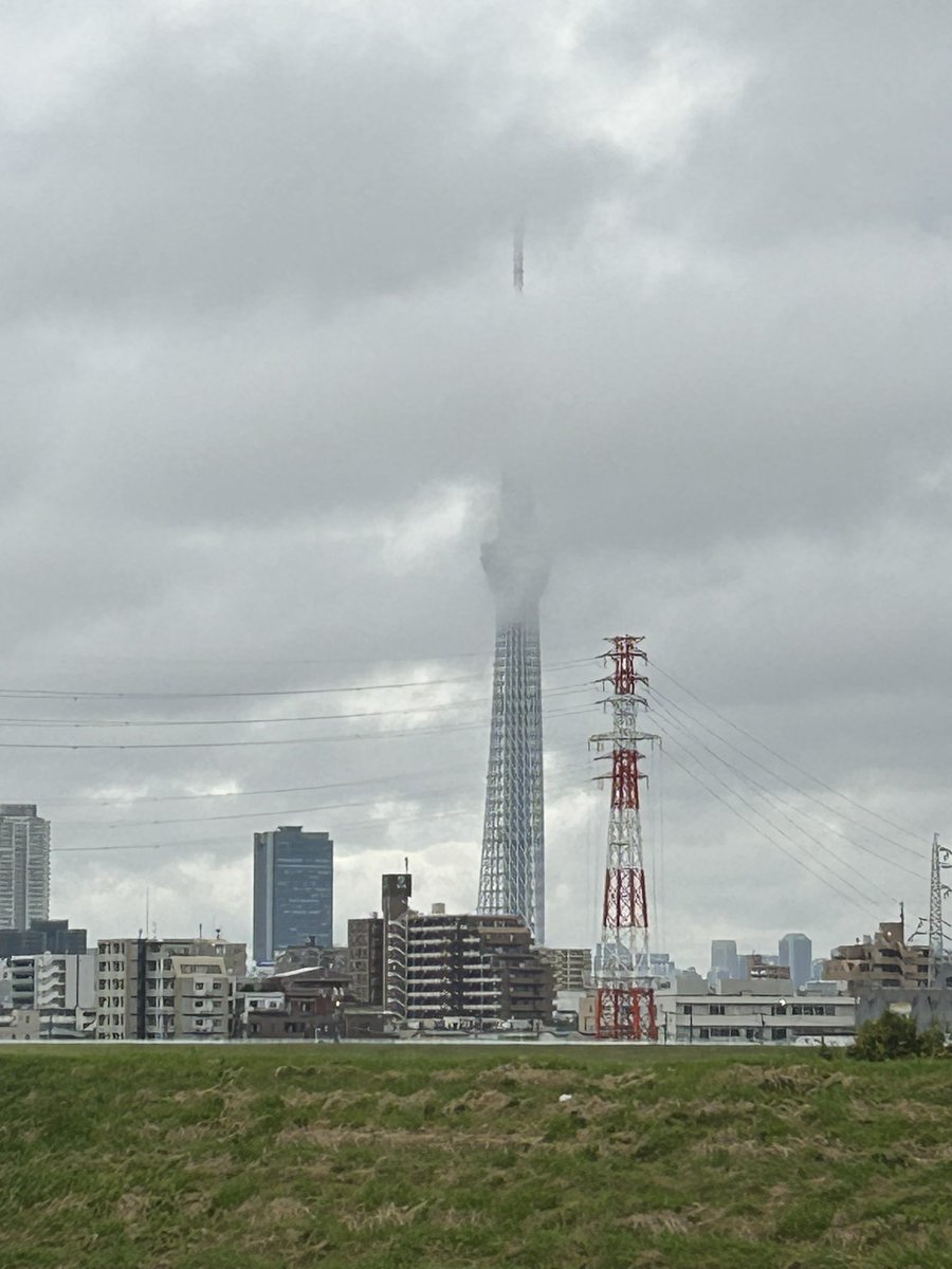 bawmama's tweet photo. おはようございます😃今日も雨だねぇ☔最近高速下でシュナちゃん2人連れた方に会います🐶二組会いますよ、それともう1人。シュナちゃんが増えましたね✌️前は同じ白シュナちゃんしか会わなかったのにね🐶 https://t.co/yPQEKlLyRs