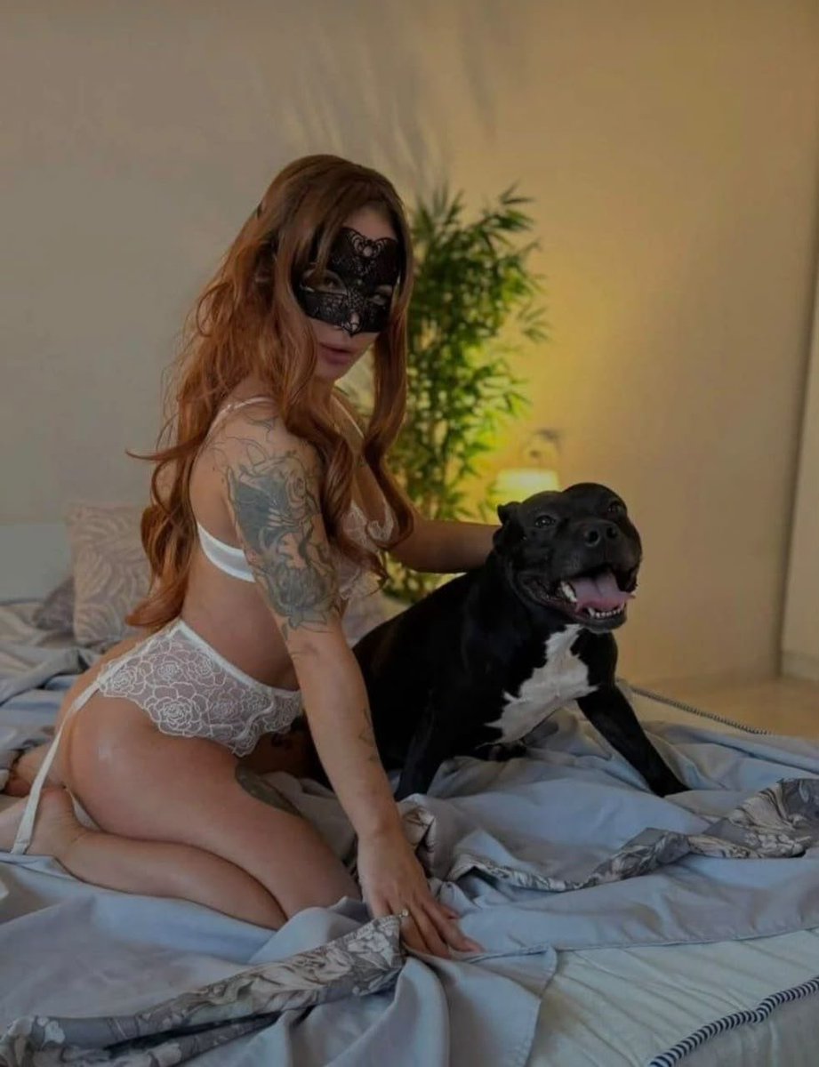 Millie_Lizzy's tweet photo. Who’s ready for thick K9 knotting tonight?

🆔 :https://t.co/5lJEGA1ywJ

#Dogknotting #Zoophilia #Beastiality #ZooPorn #K9Knot #Zoomom #ZooContent #K9Girl #Knotting #DogKnot https://t.co/LMdWeoyxoa
