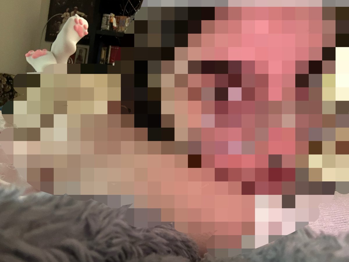 zombikissed's tweet photo. pixel kitty 🎀🐈‍⬛ https://t.co/h8ZVf2vWca