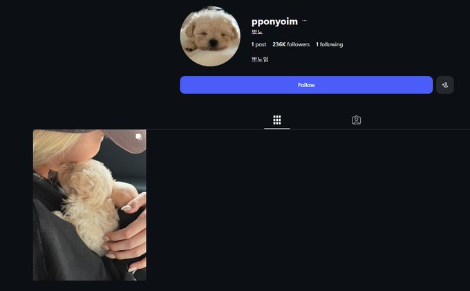 wander4r's tweet photo. okay this is actually Kori the Pom 2.0

this dog named Pponyo is going extremely viral on X and Instagram. The most popular artist in Korea just made an instagram account for the dog and it's becoming a meme icon for the entire country

https://t.co/3QRFp7CX6G
NEW INSTAGRAM PAGE FOR THE DOG ALREADY HAS 200K FOLLOWERS IN A FEW DAYS

so many tweets:
https://t.co/oH8OsdvQjE

https://t.co/MSIObUzWIl