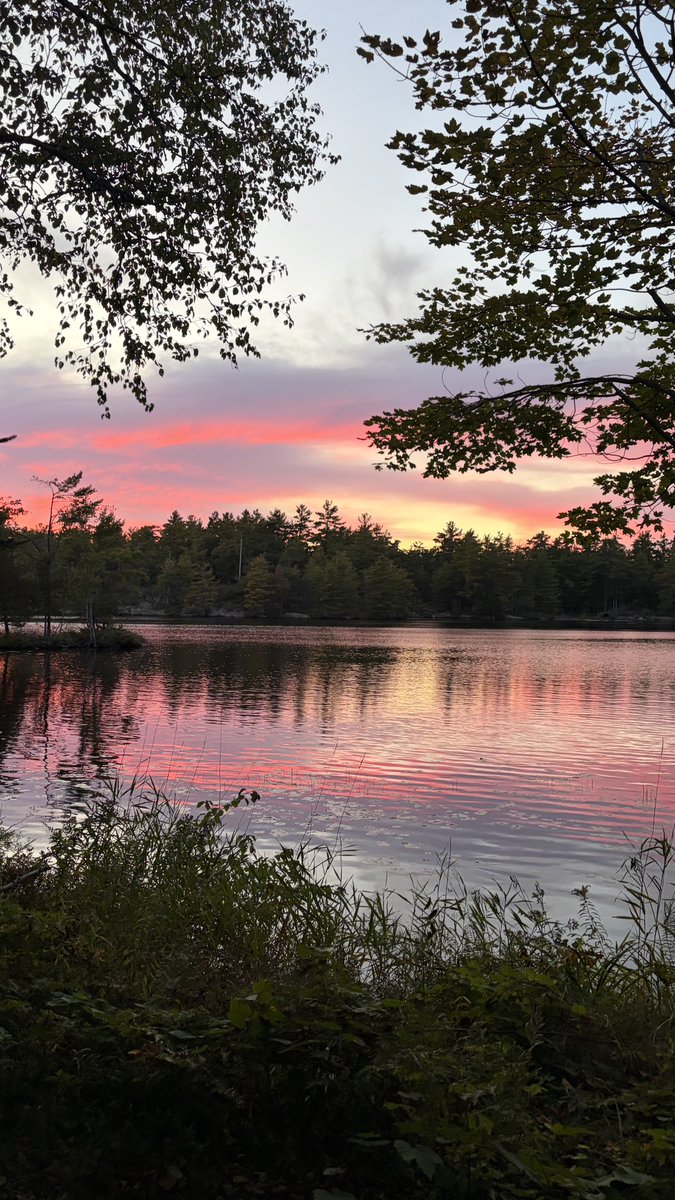 alltoopaige's tweet photo. This is not edited. Taylor Swift controls the weather confirmed #PinkClouding #TSTLOASTheEncore https://t.co/vqBsMjchY2
