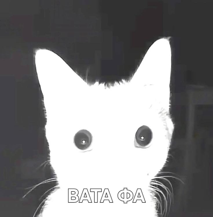 toto___roki's tweet photo. моё лицо, когда добегаю в геншине к аномалии в сумеру и на улице начинает орать сирена: https://t.co/SAfqUB7WGM