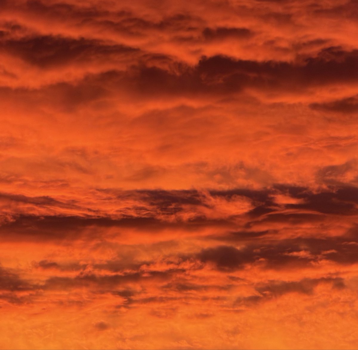 AdrianHalac's tweet photo. beast mode sunset https://t.co/GctC628KJ5