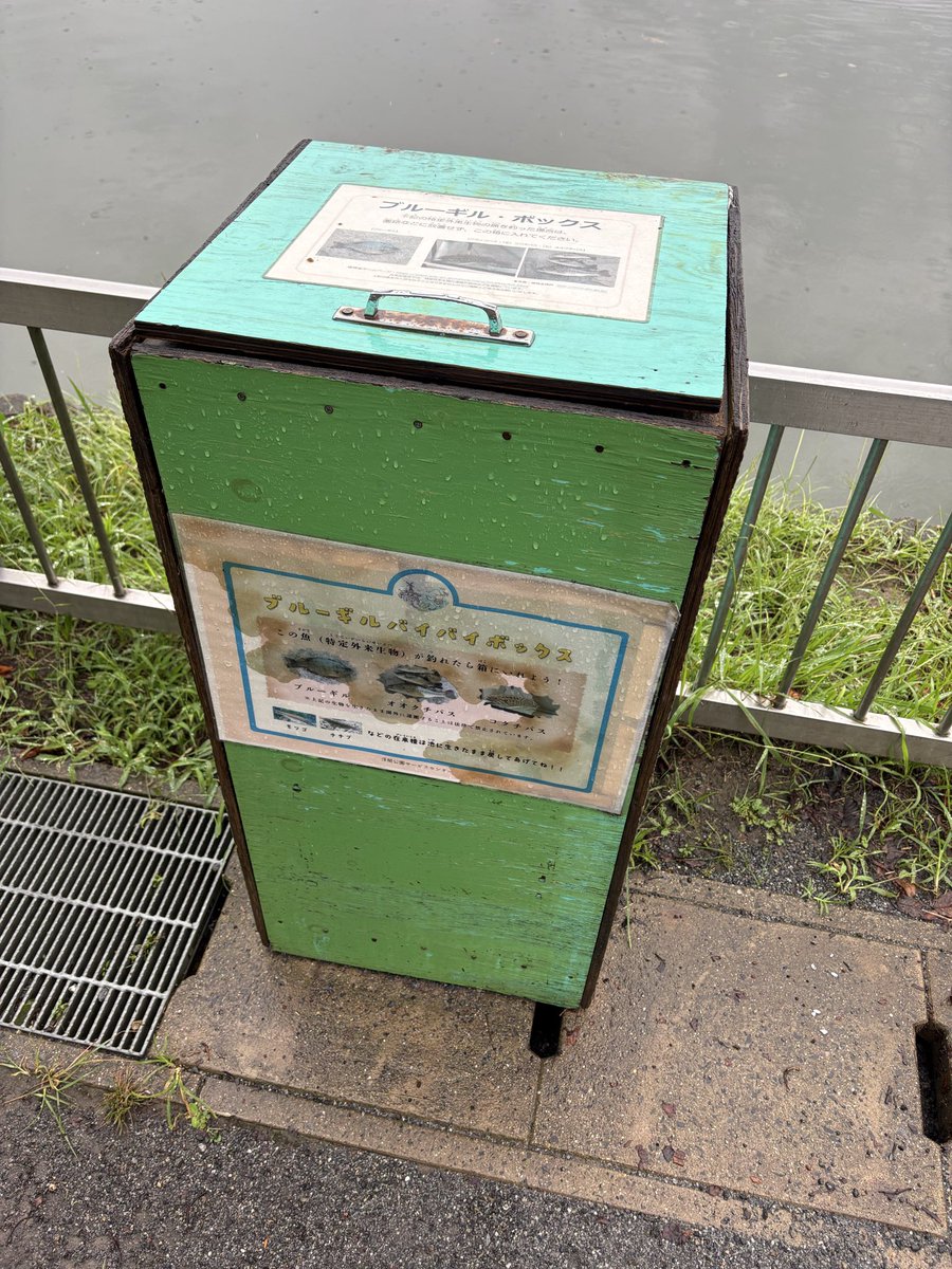 omei_replove's tweet photo. こういうの初めて見た https://t.co/9R0u6P3EbF