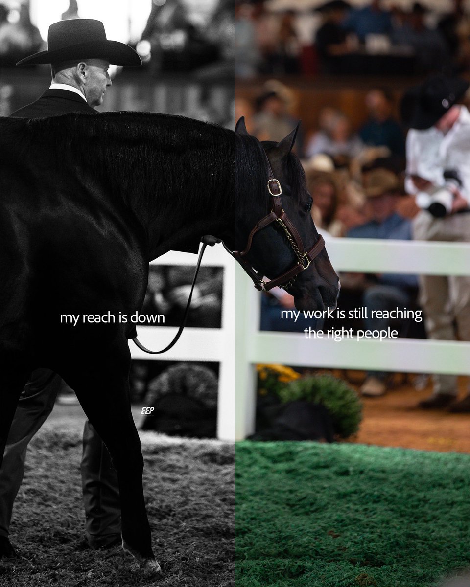elite_equinepro's tweet photo. Sometimes you don’t need to change what’s happening, you just need to change the way you’re looking at it.

Not every day has to be productive.
Not every post has to perform.
Not every opportunity has to be yours.

#perspective #creative #entrepreneur https://t.co/LHwdv5KTWS