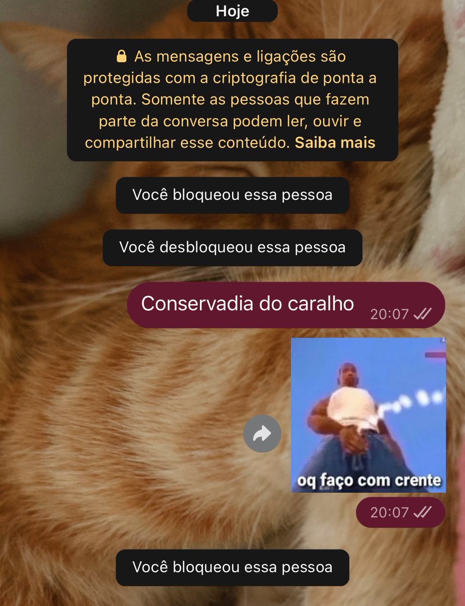Emasflor's tweet photo. Me senti mais leve, mas puta q pariu ela me fez um medo do caralho dps dessa msg eu ainda to arrepiada (te odeio muito Welyson) https://t.co/fSI3Csz1VJ