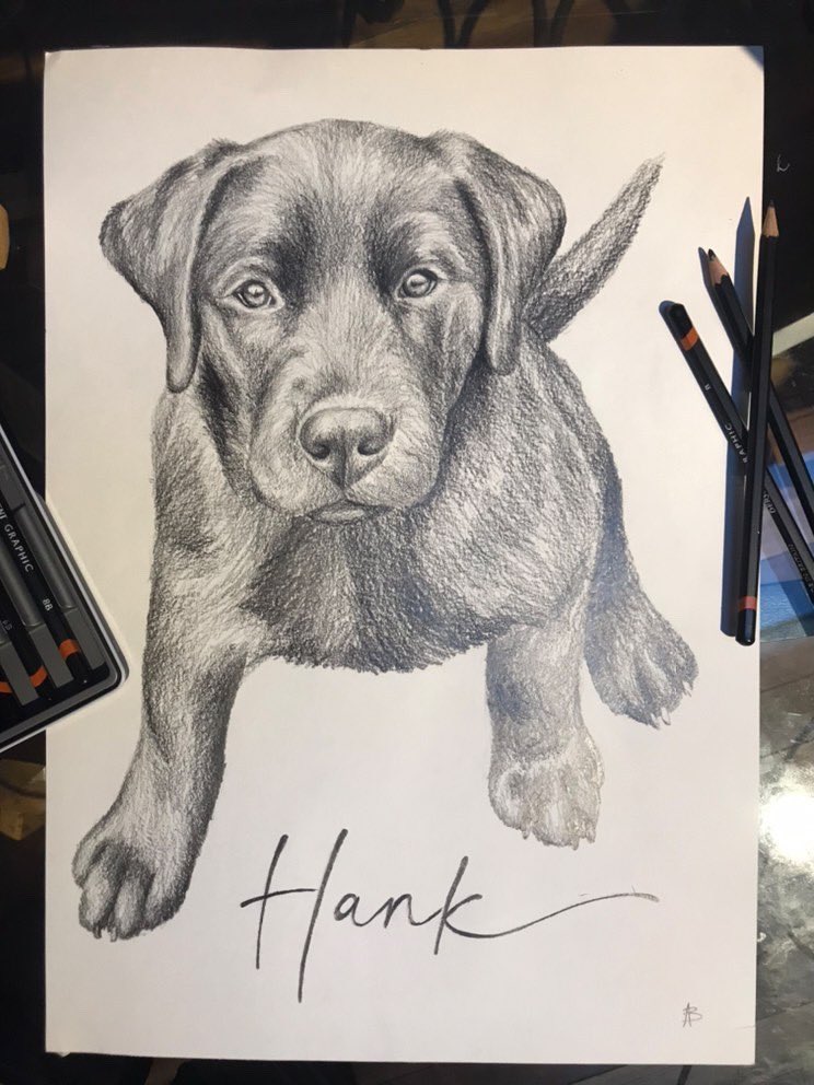 ColonelGrok's tweet photo. @JwrJason @snoopston808 Hank says hi https://t.co/hEgZTVMuIm