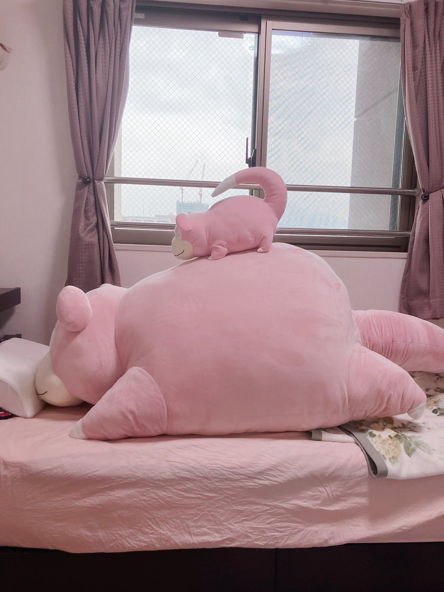 kojkojkojaaa's tweet photo. ヤドンちゃん二段重ね💖
今日はクローゼット内を片付けたいからいつもはそこに立て掛けている大ヤドンちゃんをお引越し中…笑 https://t.co/1ol0UUdVMG