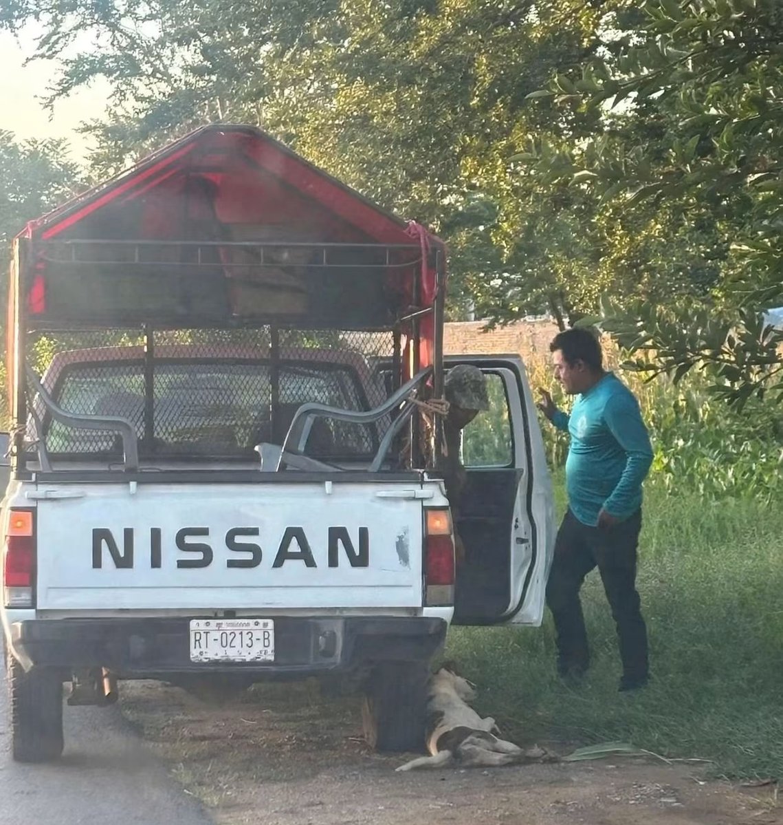 CentralQNoticia's tweet photo. DENUNCIAN MUERT3 DE LOMITO EN CAMINO ANTIGUO A CUILÁPAM; CAMIONETA LO ARRASTRA 🚨🐶🛻

Mediante una denuncia ciudadana en redes sociales se dio a conocer que, una camioneta arrastró a un lomito provocando su mu3rte, sobre la carretera que conduce a Zaachila, por el Camino Antiguo a Cuilápam. 

En las fotografías compartidas, se observa a dos sujetos a bordo de una camioneta marca Nissan color blanca y redilas rojas con placas RT-0213-B del estado de Oaxaca.

La denuncia, pide la intervención de las autoridades correspondientes para que se castigue este acto, pues se trata de un delit0.

#CentralQNoticias #Oaxaca #Noticias #DenunciaCiudadana #NoAlMaltratoAnimal
https://t.co/YZa7OI9OXh