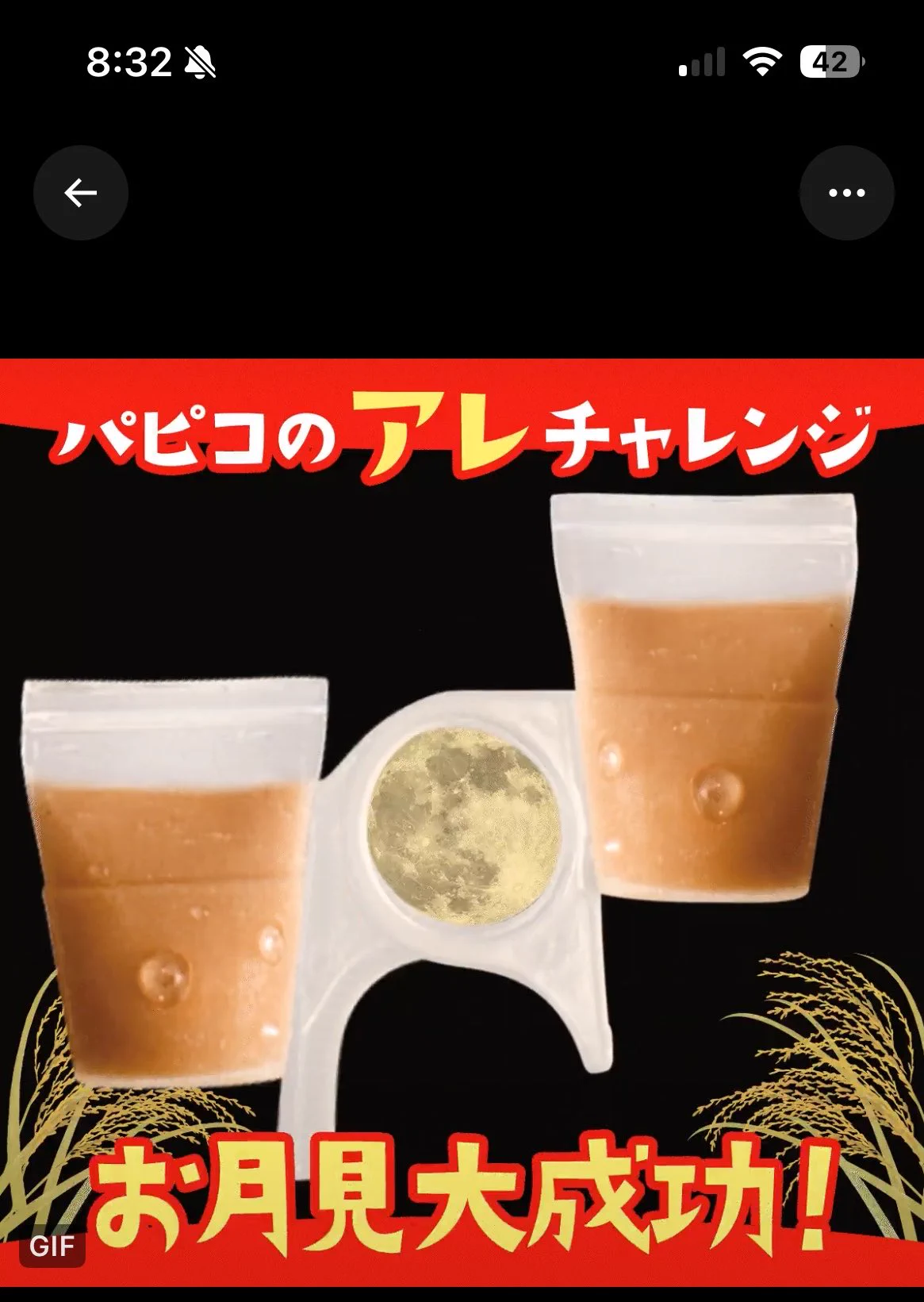 健康アクセサリー papiko パピコ／papico a X: 