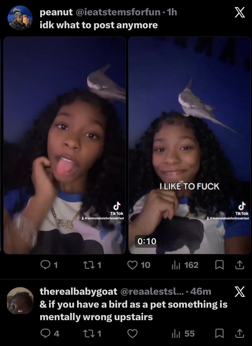 cutthroatbih's tweet photo. LMFAOOOOOOO https://t.co/NCTJxCJUad