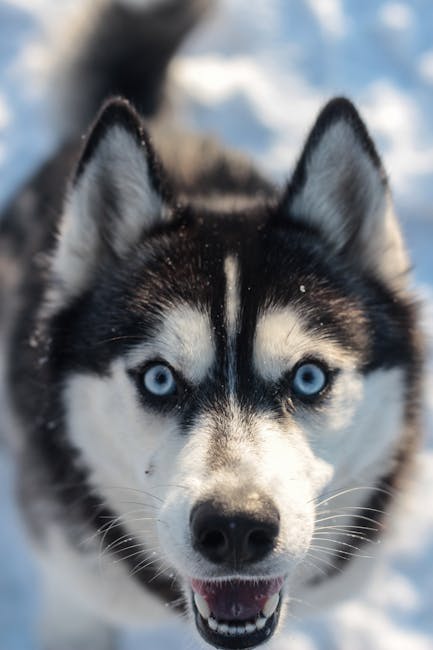 cassandraja7zh's tweet photo. renewed as becomes This is where comfort begins, your breathing deeper nathan weidner❄️ https://t.co/J15OEBx5Z5