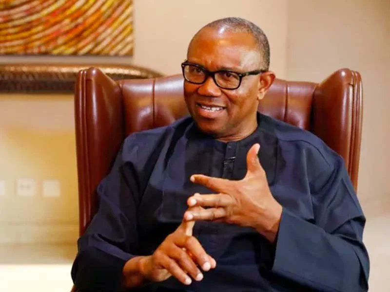 chisomemirus's tweet photo. I will jail anyone who rigs election under my administration.

~ Peter Obi says https://t.co/tQsltZVBif