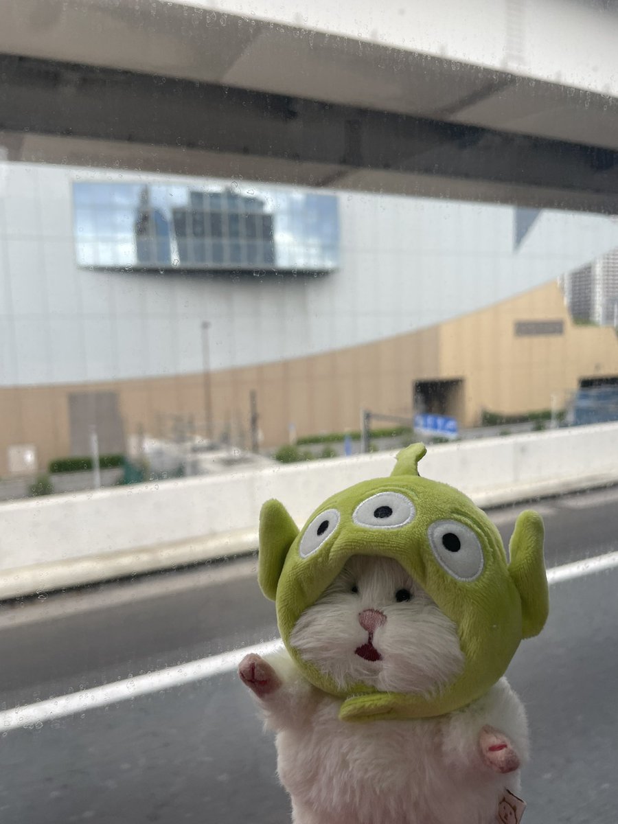 mameta_86_'s tweet photo. かいぬし、これどこむかってるの？
このぼうしなに？ https://t.co/8mFhAEfPNl
